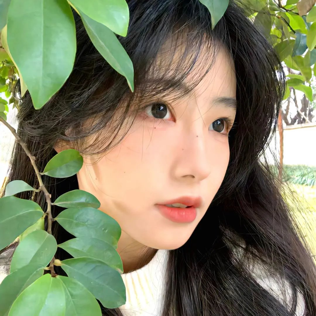 演员请就位第三季
